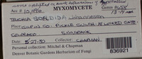 Image Associated With the Occurence